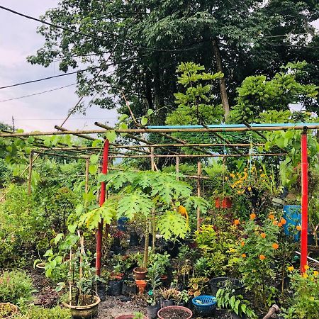 Atocha Homestay - Terong@Taiping Kampong Salak Exteriér fotografie